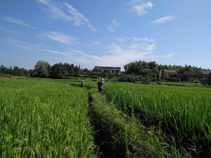 湖南森美思環(huán)保有限責(zé)任公司,長沙土壤修復(fù)技術(shù),湖南廢水治理,湖南大氣污染治理